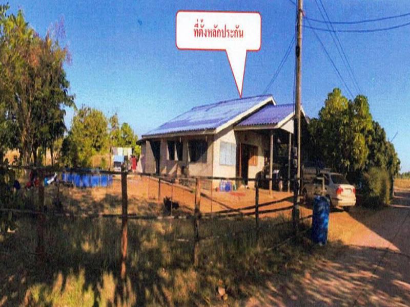 ปลาปาก ปลาปาก นครพนม