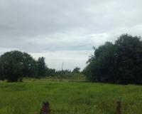 ขายที่ดินว่างเปล่า