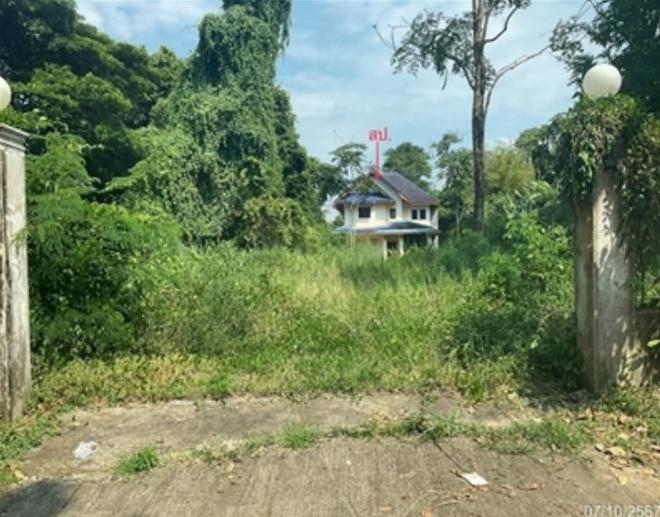ศรีสงคราม ศรีสงคราม นครพนม