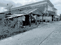 ขายบ้านเดี่ยว